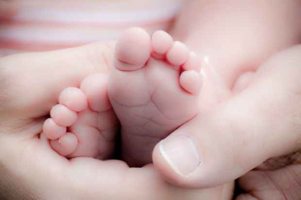 adorable baby baby feet beautiful